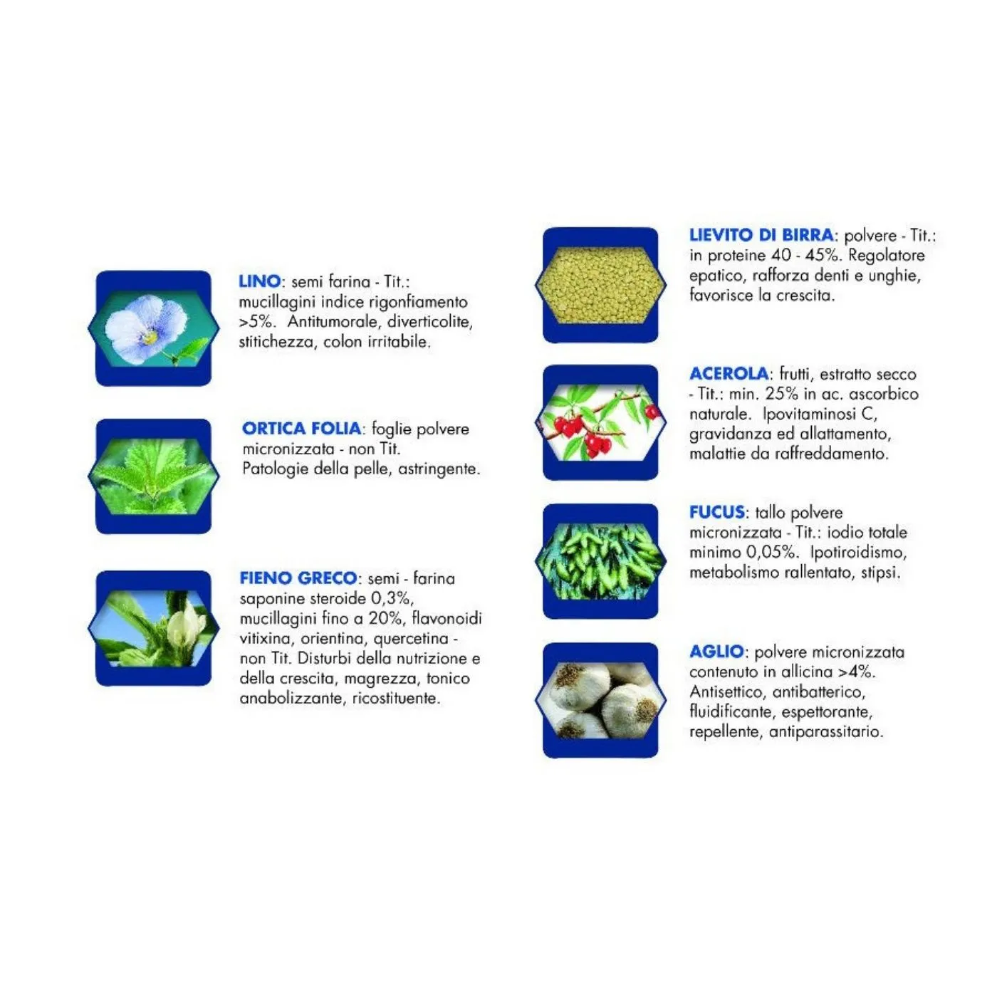 Vet Line Bufalo Per Cani Adulti Monoproteico VetLine - immagine 3