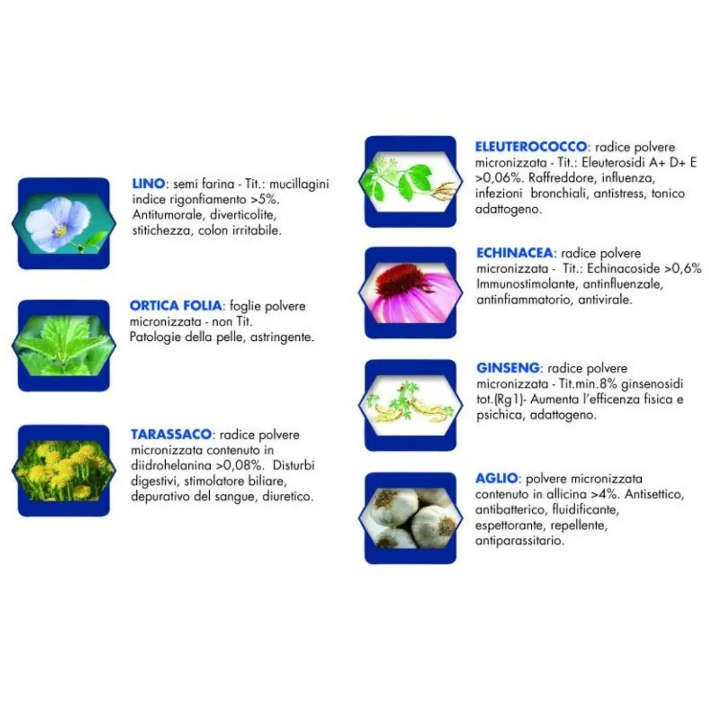 Vet Line Adulti LD Anatra Grain Free Monoproteico Per Cani Adulti VetLine - immagine 3