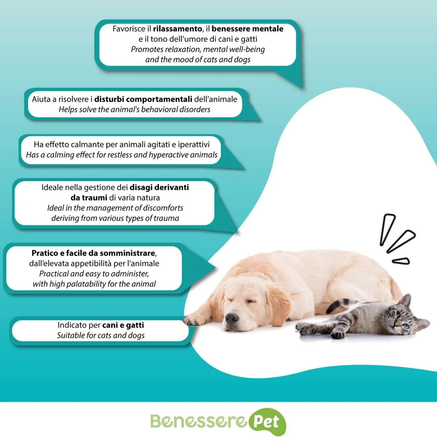 Dynamopet® BenesserePet Kalm Pet 100g Rilassante Naturale Per Cani E Gatti - immagine 4