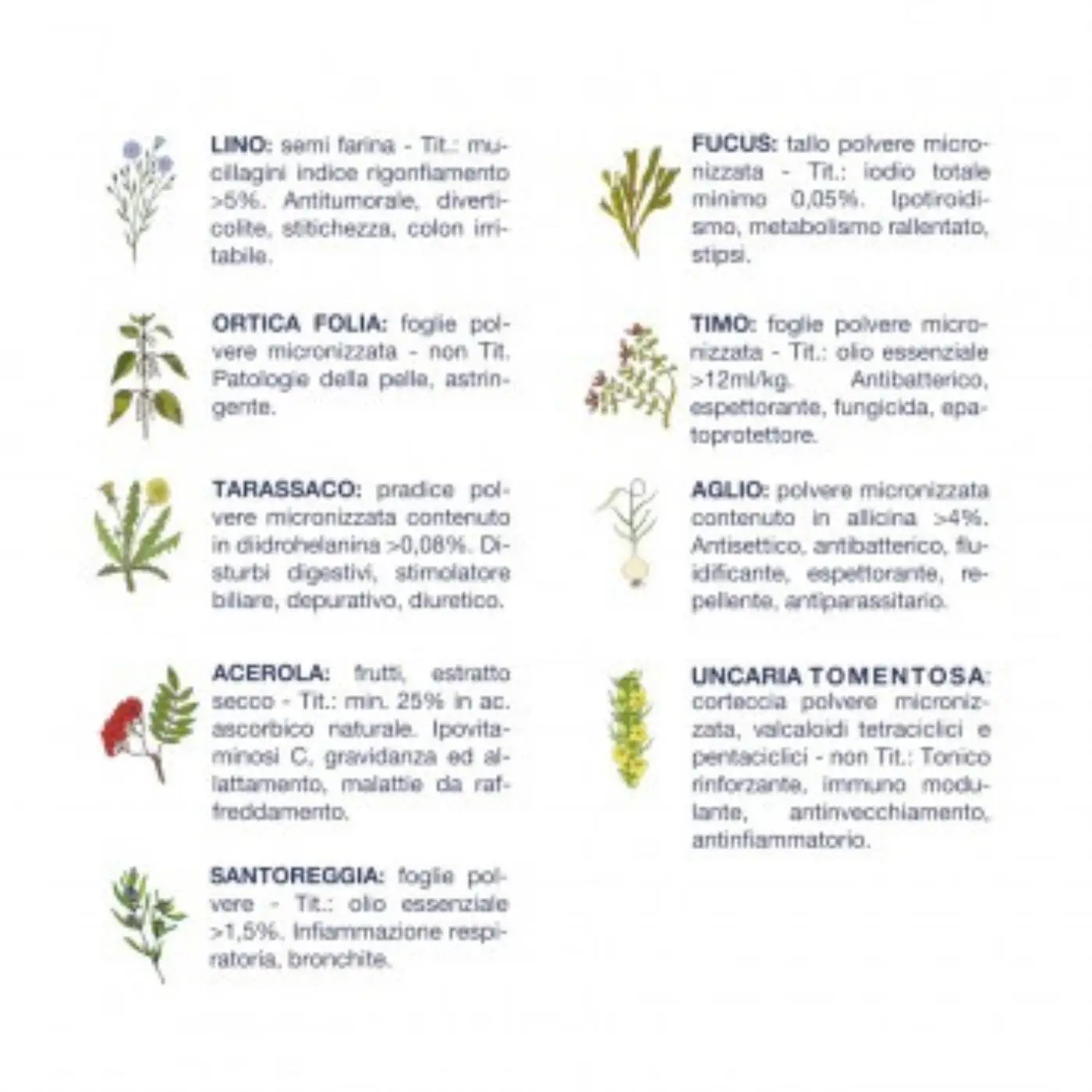 Vet Line Linea Salute Bufalo Per Cani Adulti VetLine - immagine 3