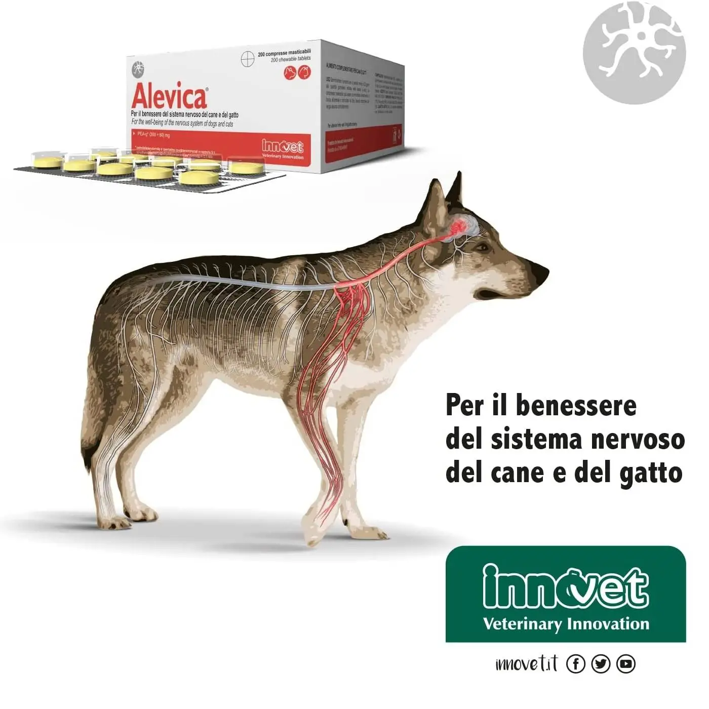 Innovet Alevica® Integratore Compresse Masticabili Per Cani E Gatti - immagine 4