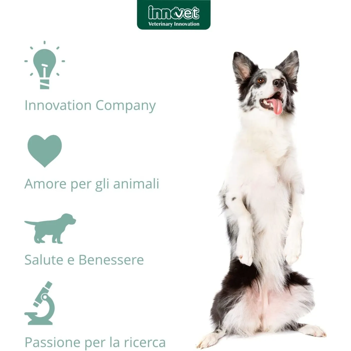 Innovet Alevica® Integratore Compresse Masticabili Per Cani E Gatti - immagine 8