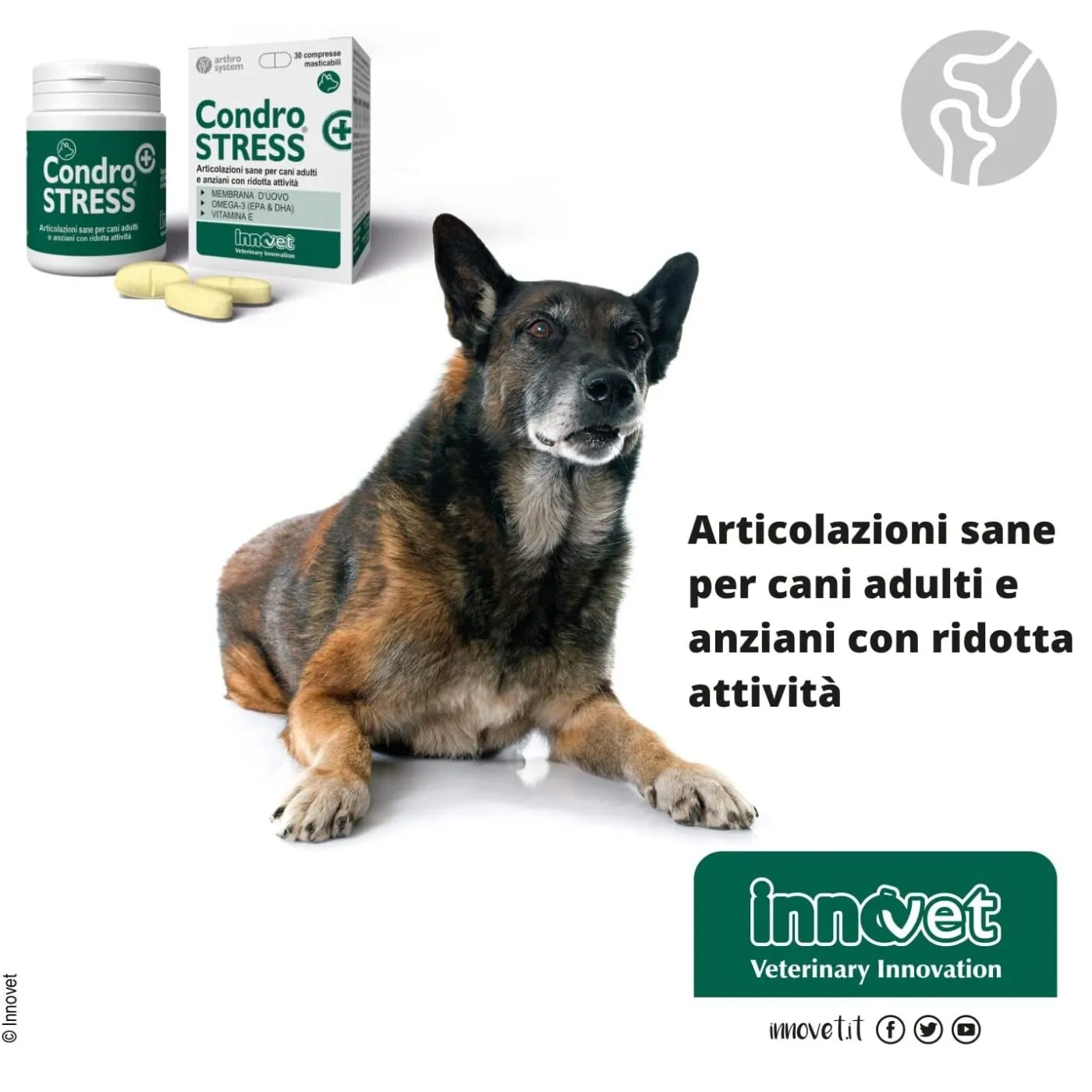 Innovet Condrostress® (+) Integratore Per Cani - immagine 8