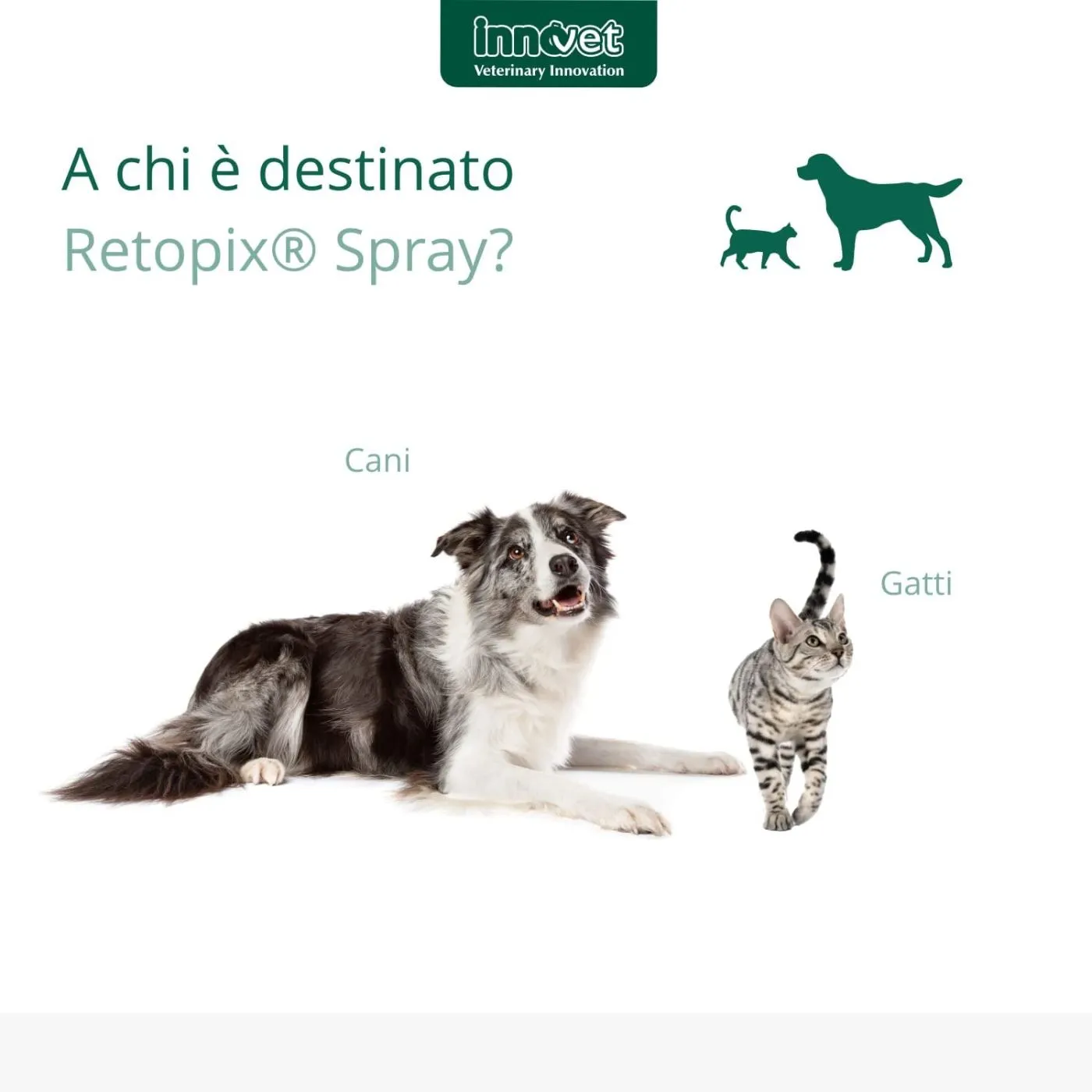 Innovet Retopix® Spray 100ml Per Cani E Gatti - immagine 4