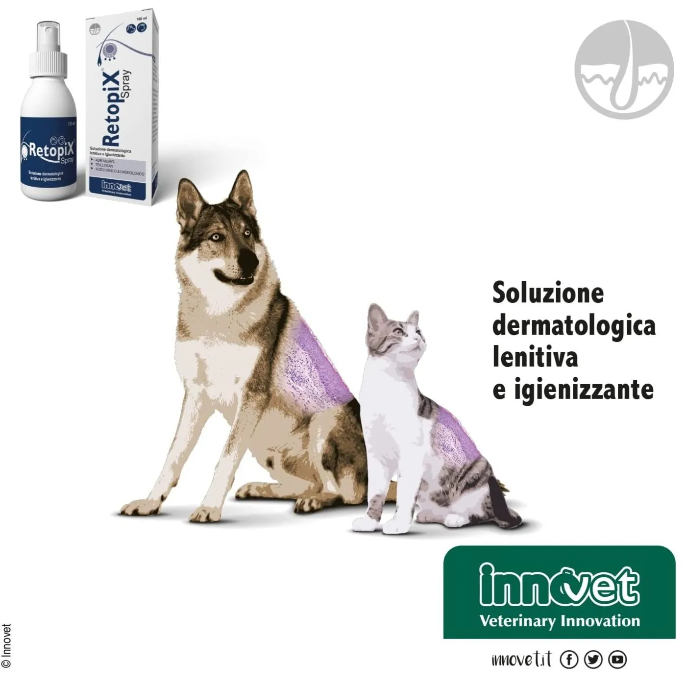 Innovet Retopix® Spray 100ml Per Cani E Gatti - immagine 5