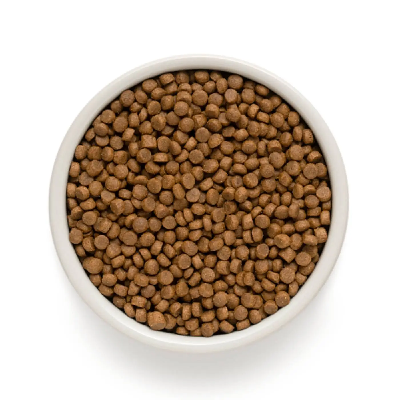 Grandorf Puppy Agnello E Tacchino Per Cuccioli - immagine 2