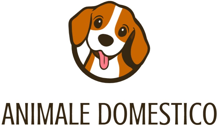 Negozio online cibo per cani