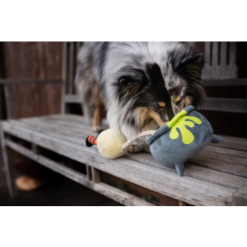 Gioco Play Howling Haunts, Calderone Peluche. Gioco Per Cani