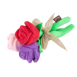 PLAY Gioco Rose Peluche. Gioco Per Cani